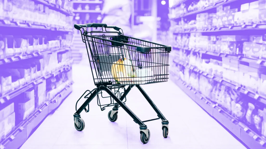 Abandoned Cart Emails Conversion Fixes Revenue Recovery